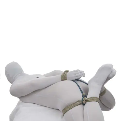 Accessible-Hog-Tie