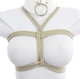 Bikini-Harness-2