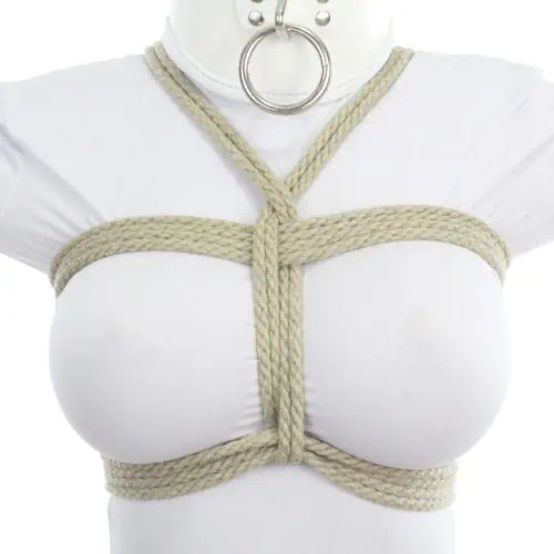Bikini-Harness-2