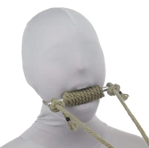 咬合式