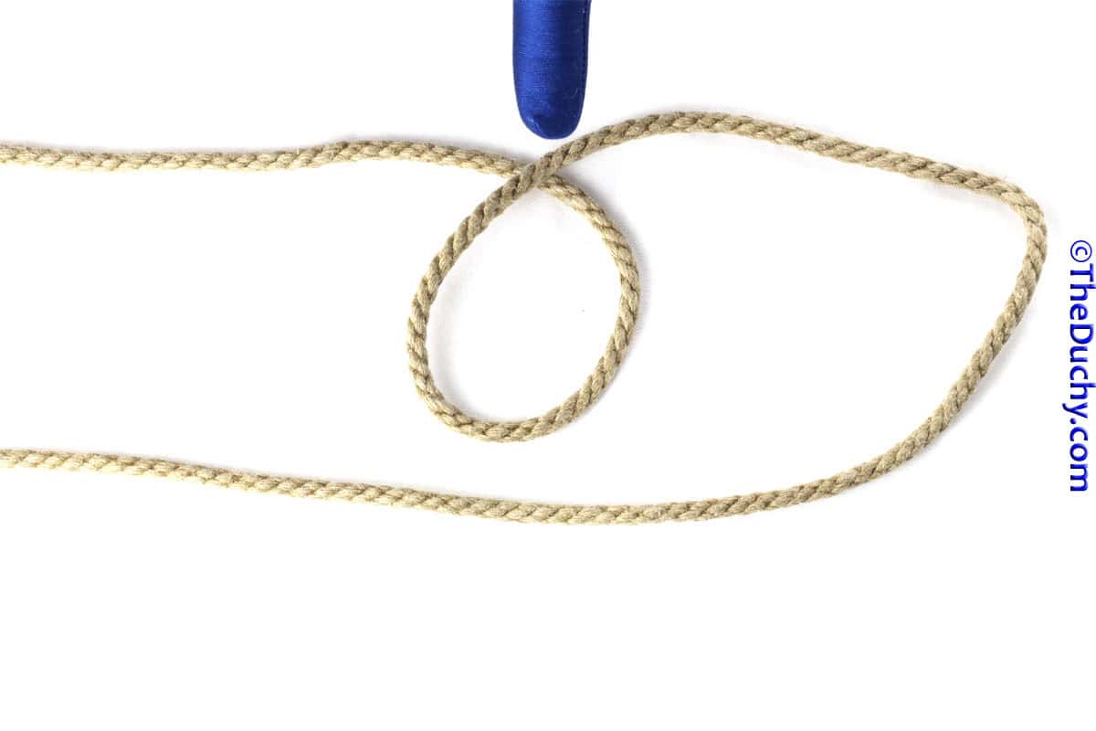 Double Coin Knot Theduchy