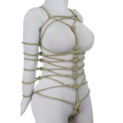 Dragonfly-Harness
