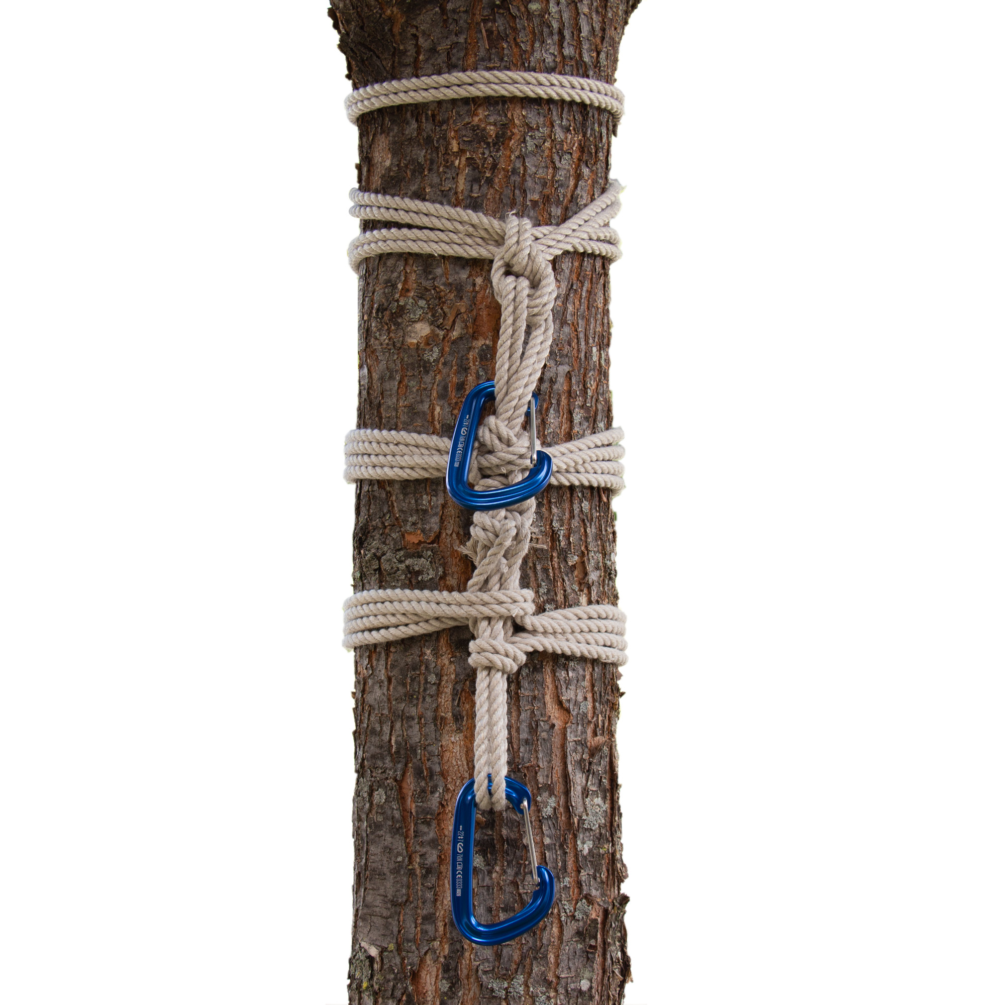 Hashira Anchor on Tree