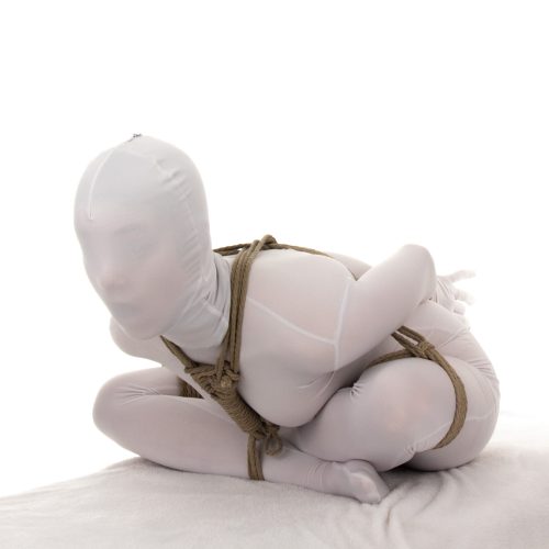 BDSM Ball Ties Example 2 - Ebi Style