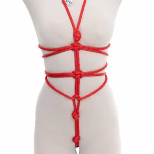 Strap-*in* Body Harness