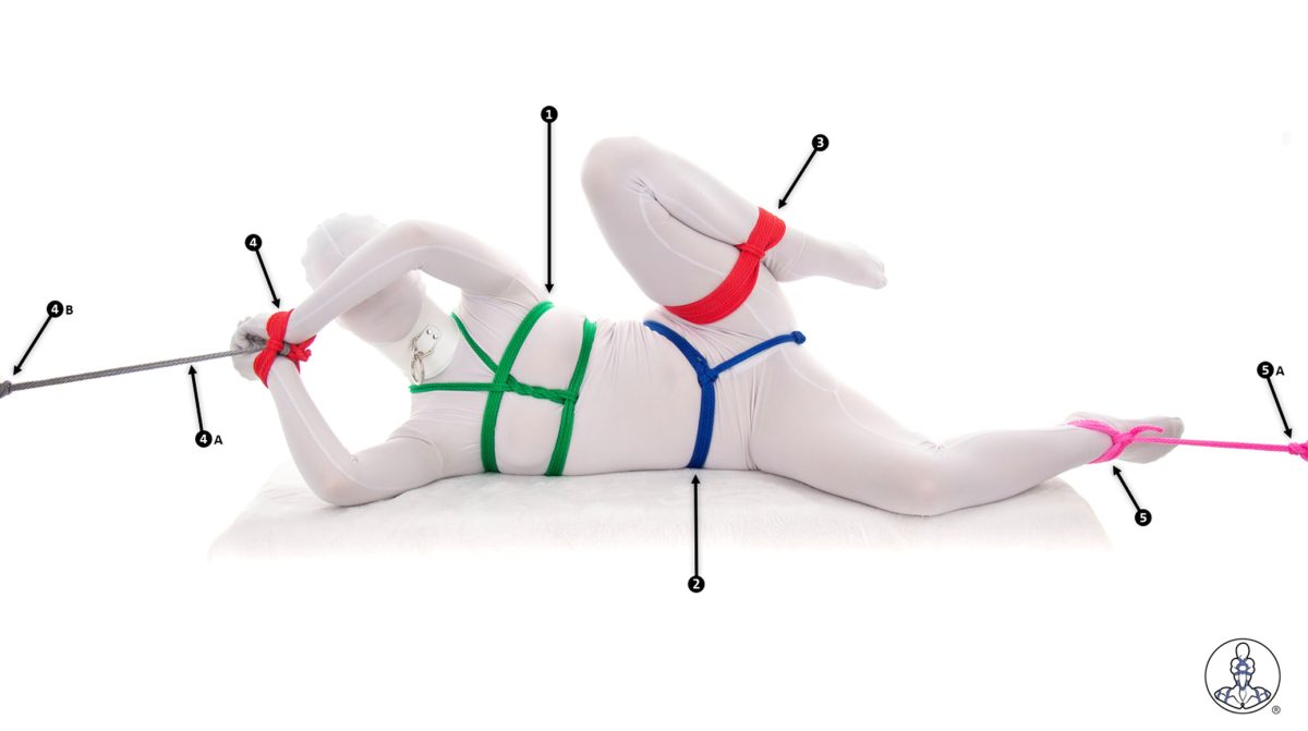 Esta é uma versão anotada de uma imagem de bondage com corda BDSM. Nela, uma mulher vestida da cabeça aos pés em um traje de corpo zentai branco é amarrada com vários arreios de corda e outras amarras. As anotações numeraram cada amarra para que ela possa ser discutida no artigo.